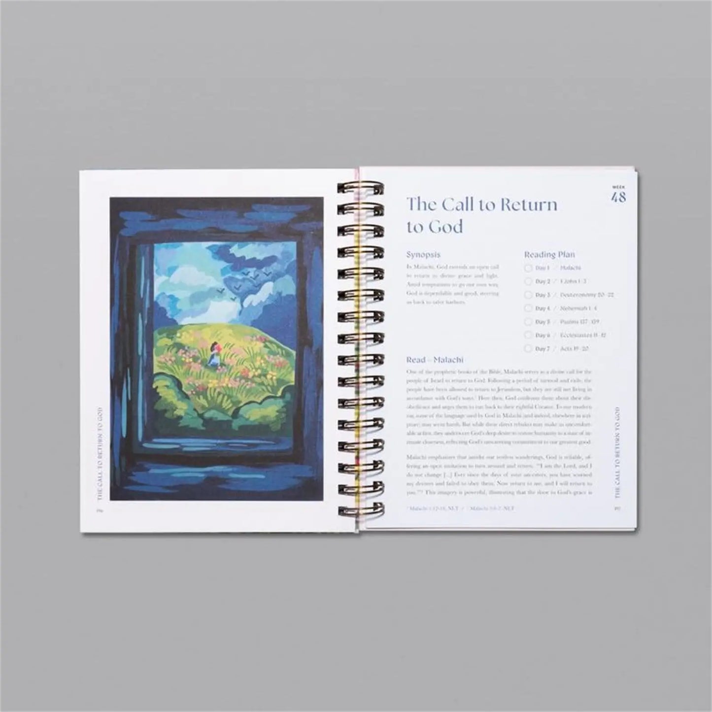 Book a Beautiful Year in the Bible: a 52 Week Bible Study for Women Bible Study Guide with Suggested Readings
