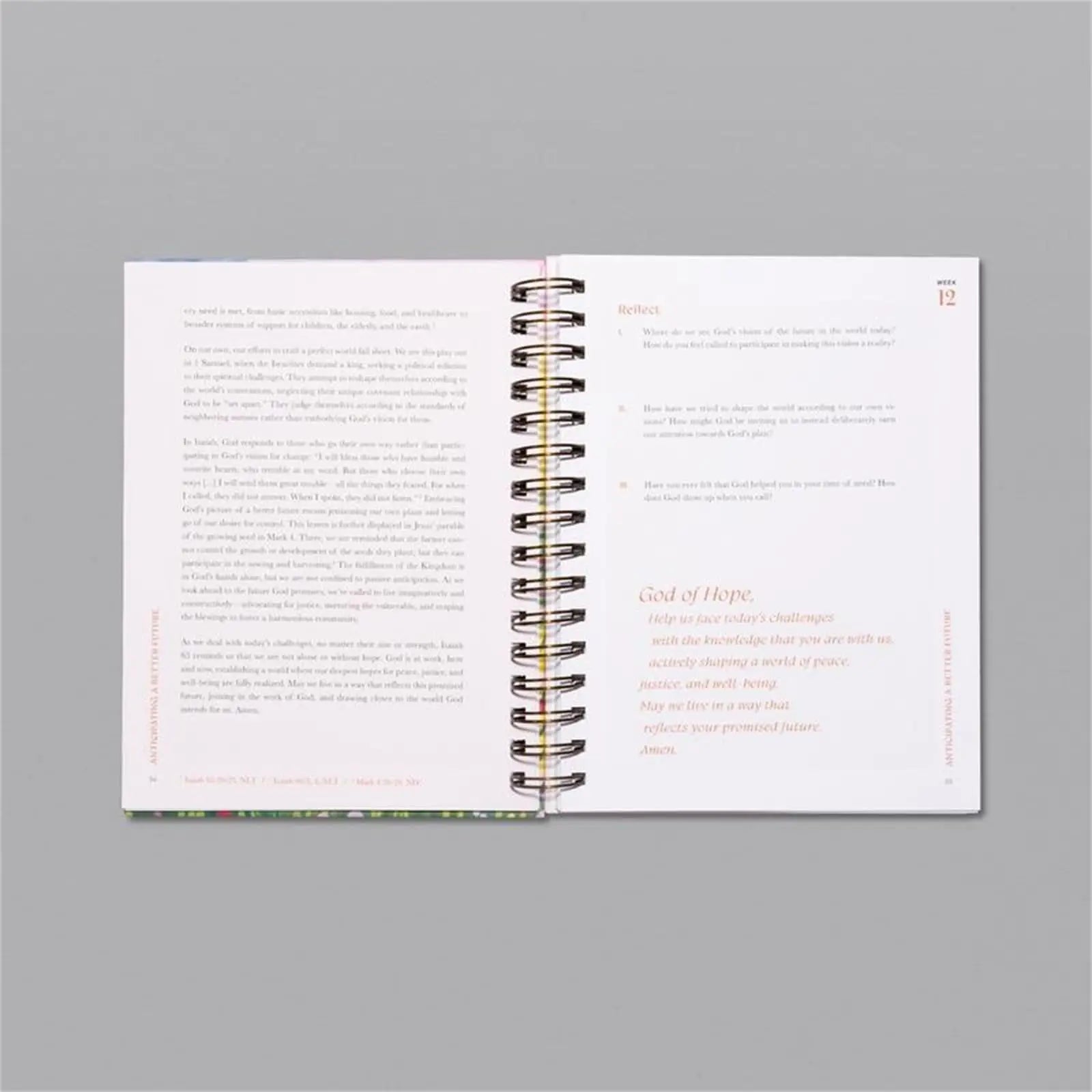 Book a Beautiful Year in the Bible: a 52 Week Bible Study for Women Bible Study Guide with Suggested Readings