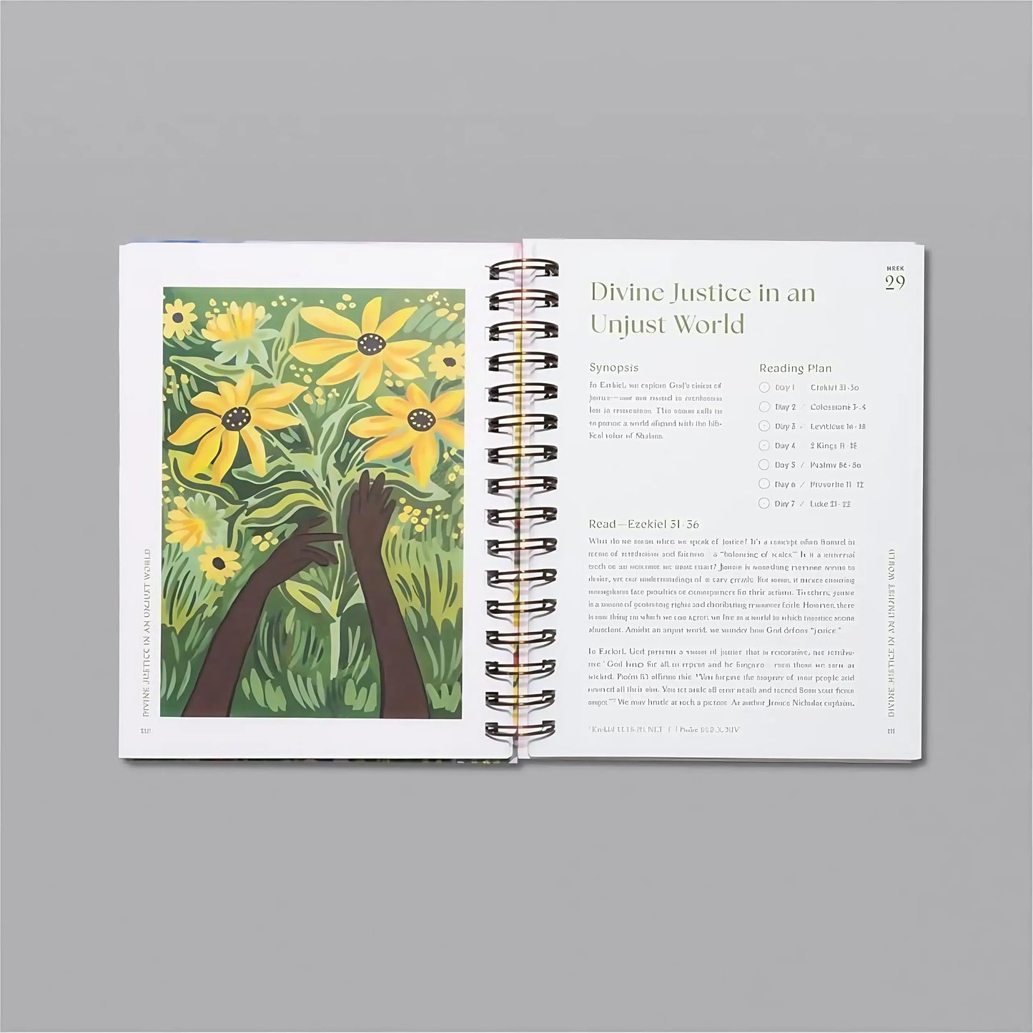 Book a Beautiful Year in the Bible: a 52 Week Bible Study for Women Bible Study Guide with Suggested Readings
