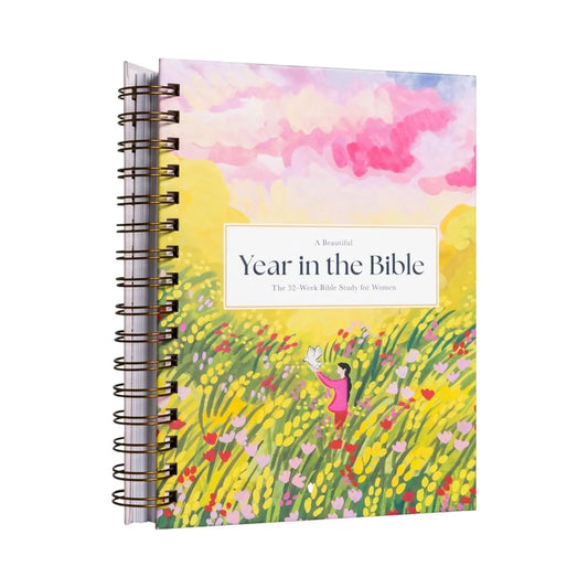 Book a Beautiful Year in the Bible: a 52 Week Bible Study for Women Bible Study Guide with Suggested Readings